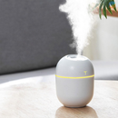 Mini Umidificador Difusor Aromatizador Egg Portátil USB com LED | Purificador de Ar  – Norale Home