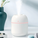 Mini Umidificador Difusor Aromatizador Egg Portátil USB com LED | Purificador de Ar  – Norale Home